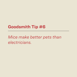 Mice make better pets than electricians.